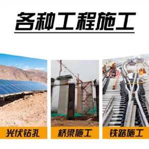 雙液壓雙馬達打樁機